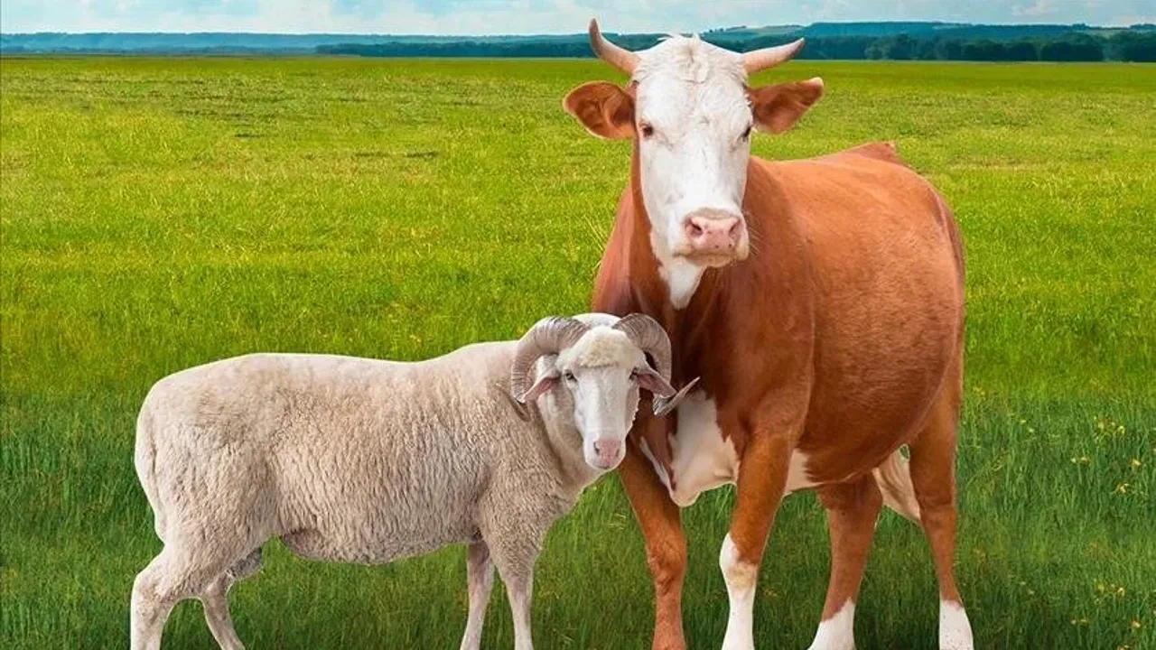 Modern, düşünceli tasarım